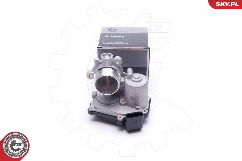 EGR Valve